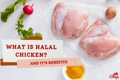 what-is-halal-chicken.jpeg